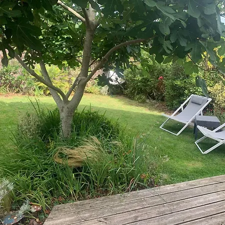 Holiday home Maison Arcachonnaise 3 Ch., Jardin, Proche Et Commerces, Wifi - Fr-1-433-129 Arcachon