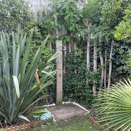 Feriehus Maison Arcachonnaise 3 Ch., Jardin, Proche Et Commerces, Wifi - Fr-1-433-129