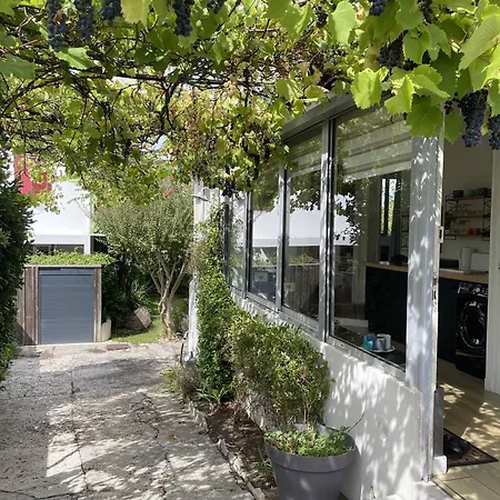 Maison Arcachonnaise 3 Ch., Jardin, Proche Et Commerces, Wifi - Fr-1-433-129 Feriehus Arcachon